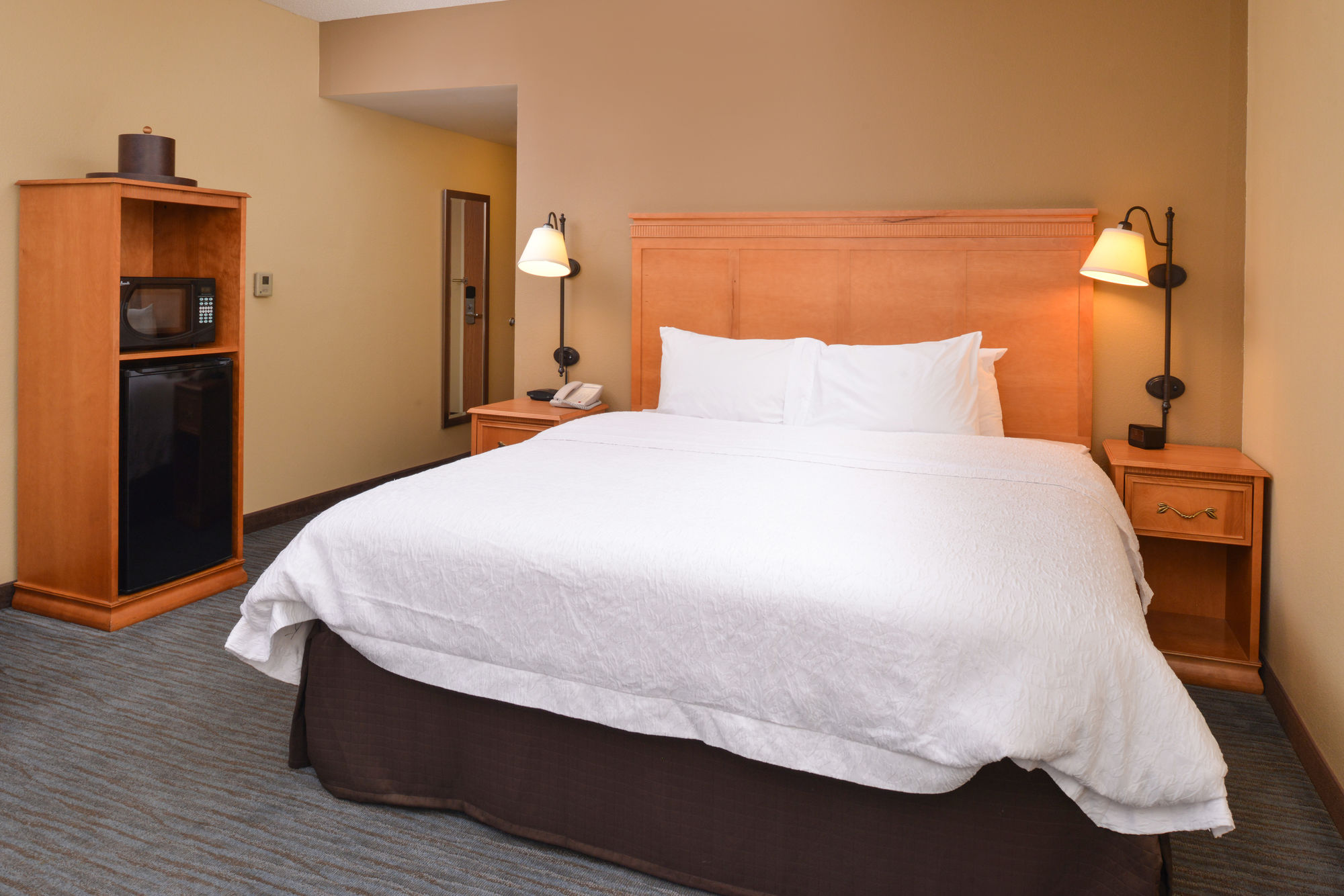 Hampton Inn & Suites Tampa East (Casino Area) in Seffner, FL