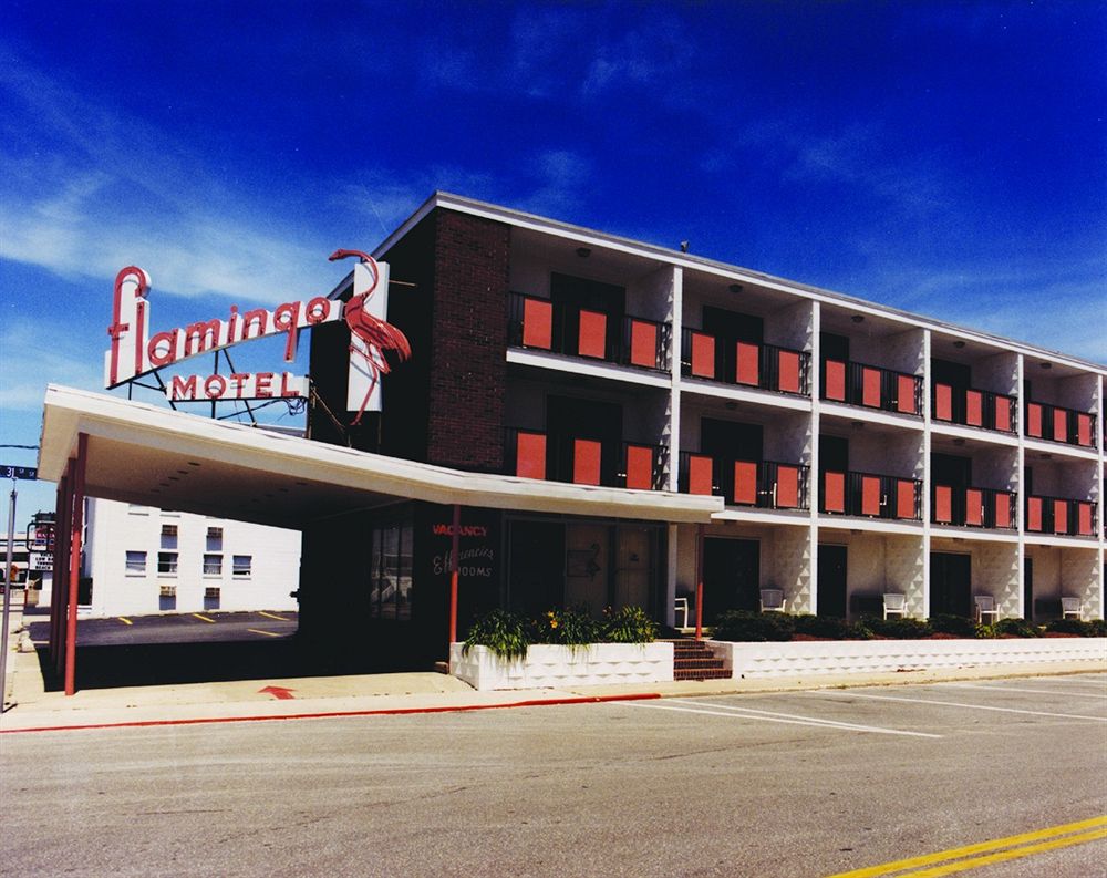 Discount Coupon for Flamingo Motel in Ocean City, Maryland - Save Money!