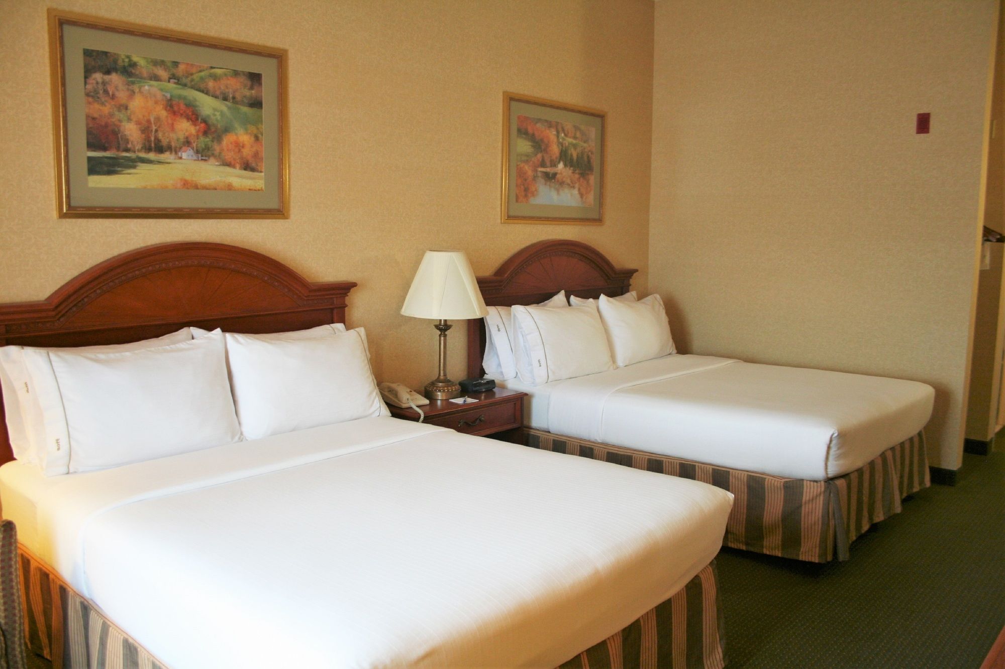 Discount Coupon for Holiday Inn Express Hotel & Suites Drums in Drums