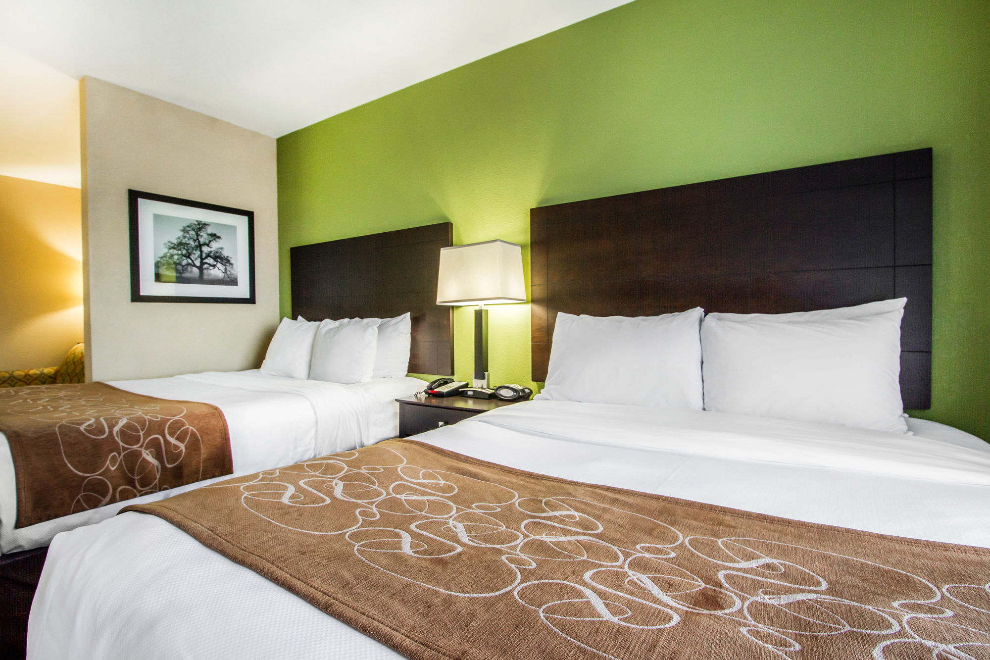 Discount Coupon for Comfort Suites in Jackson, Tennessee Save Money!