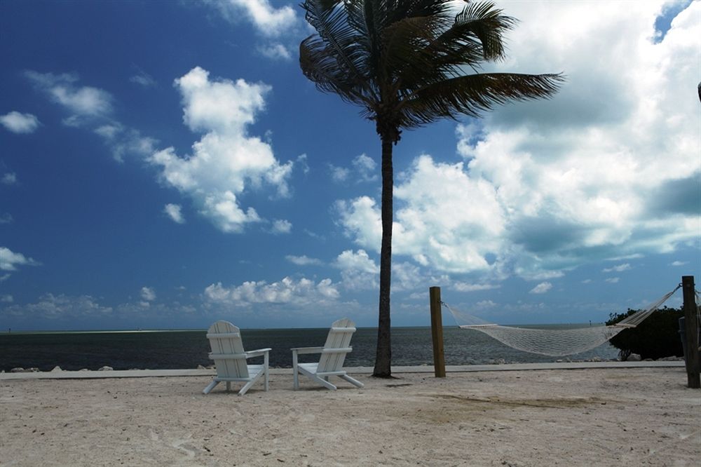 Harbor Lights in Islamorada, FL
