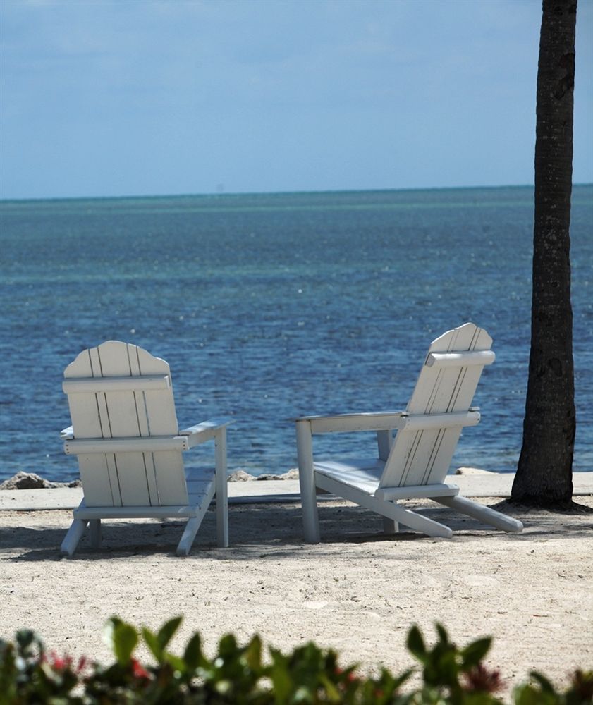 Harbor Lights in Islamorada, FL