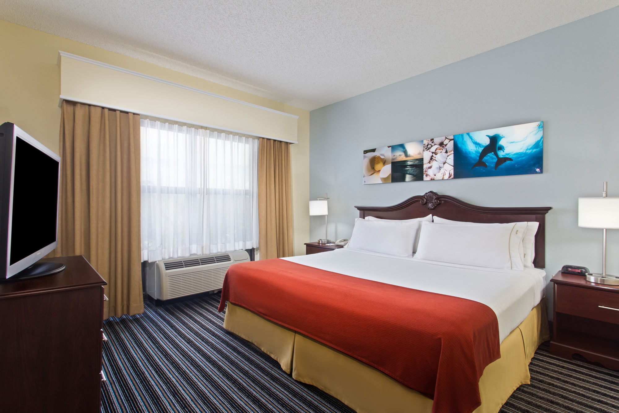 Discount Coupon for Holiday Inn Express Hotel & Suites Clearwater North