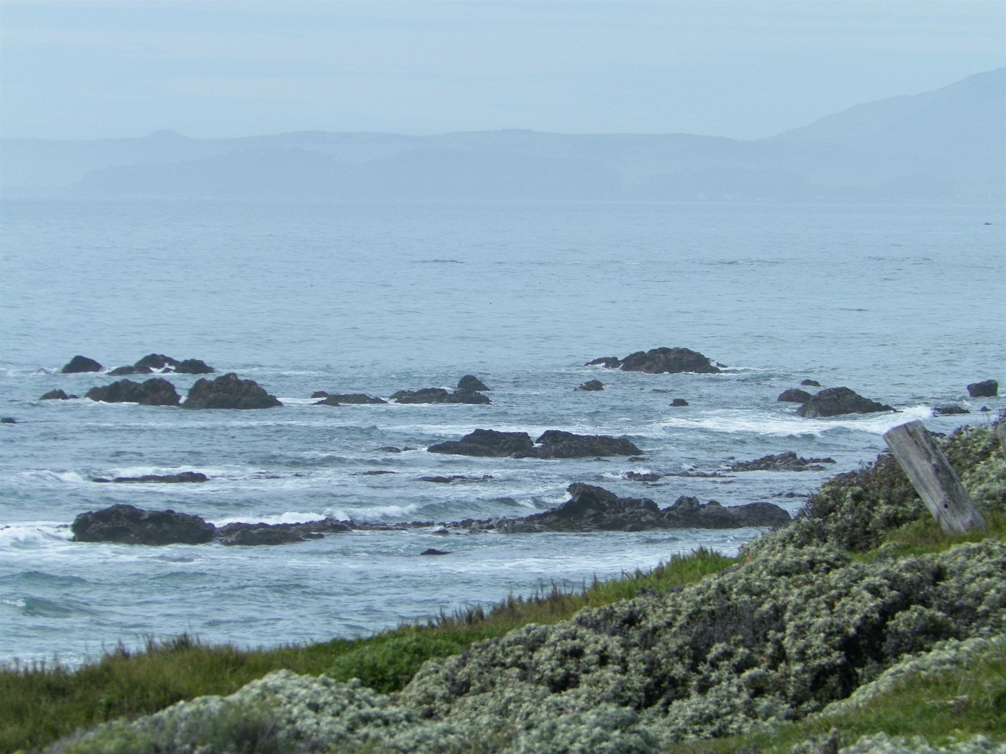 Discount Coupon for Sea Otter Inn in Cambria, California - Save Money!