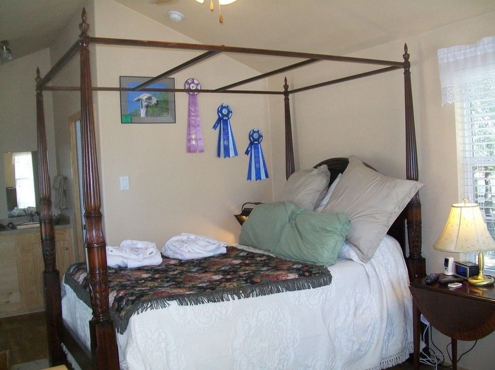 Old Irish BandB @ Patricks' Pastures Alpaca Ranch in Denton, TX