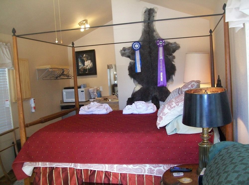 Old Irish BandB @ Patricks' Pastures Alpaca Ranch in Denton, TX