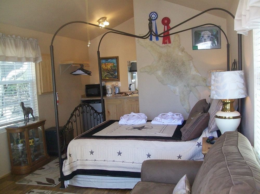 Old Irish BandB @ Patricks' Pastures Alpaca Ranch in Denton, TX