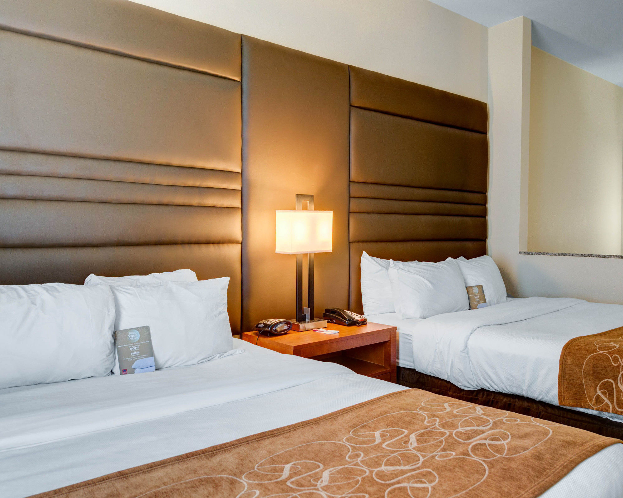 Discount Coupon for Comfort Suites in Denham Springs, Louisiana Save