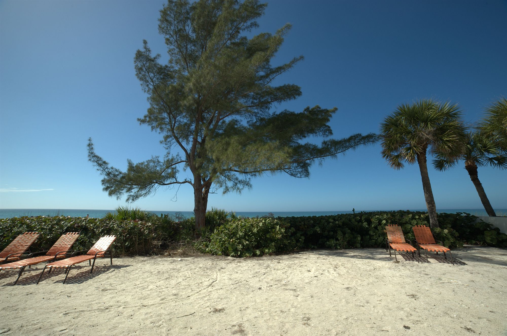 Discount Coupon for On the Beach Casey Key in Nokomis, Florida Save