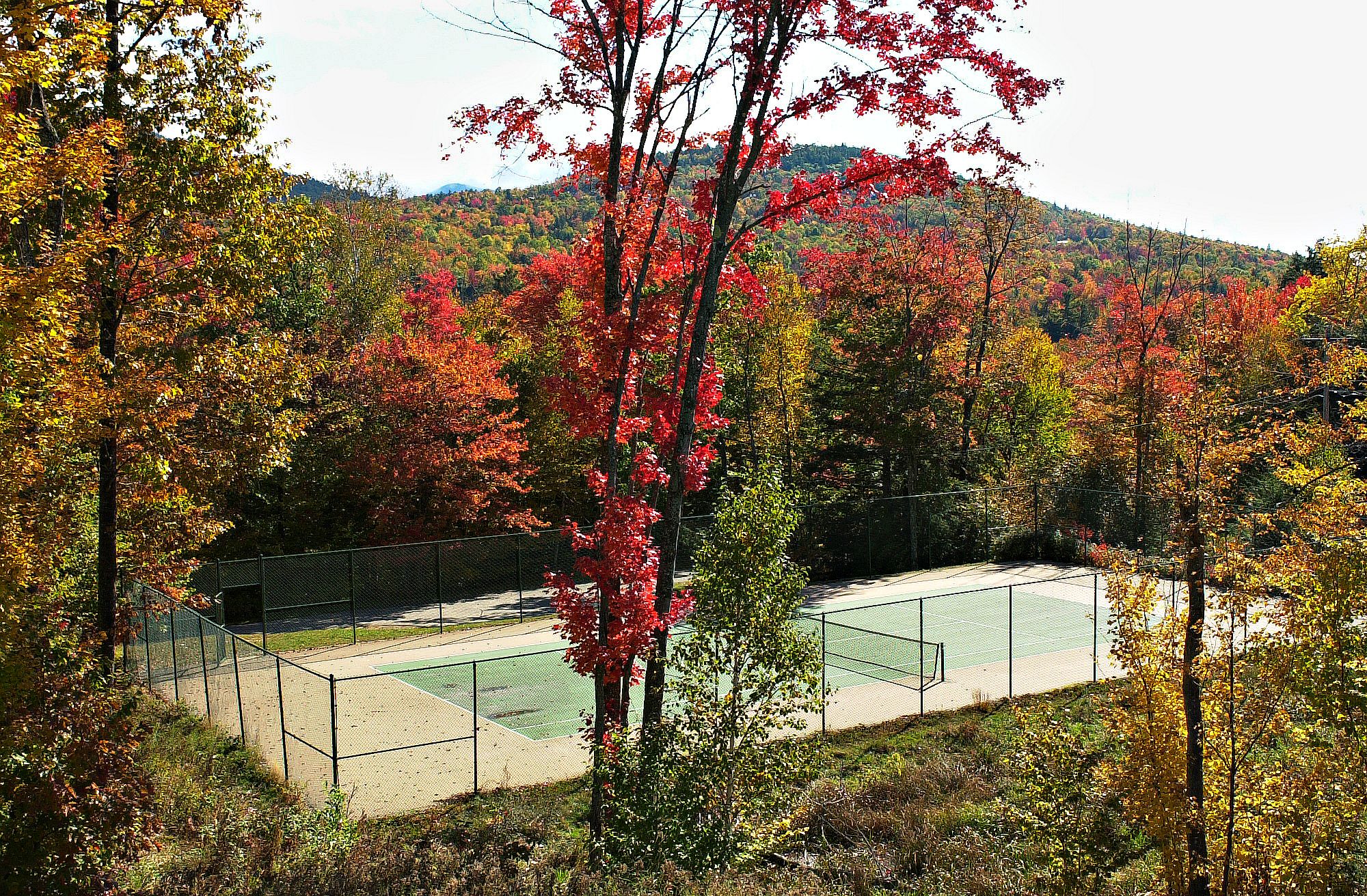 Discount Coupon for Nordic Village Resort in Jackson, New Hampshire