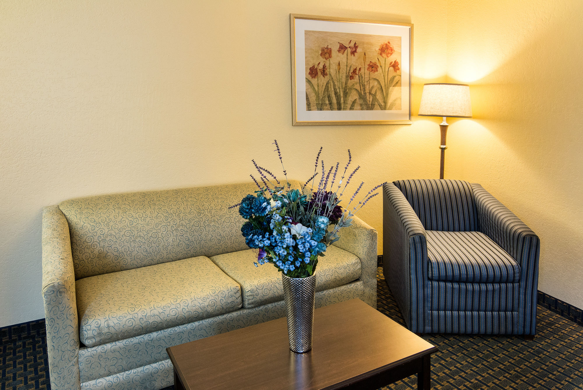 Comfort Suites Nacogdoches in Nacogdoches, TX