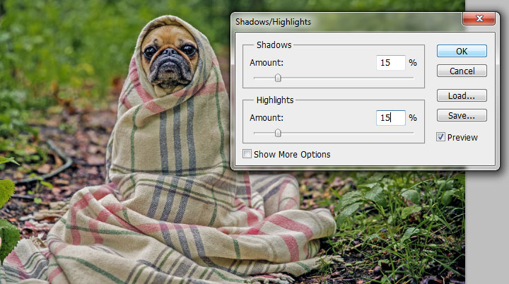 2-shadows-highlights