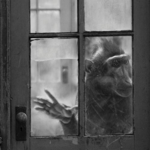 The Three Traumas Curated by Jorge Alberto Perez | Events Calendar