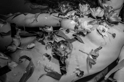 EVERYTHING THAT GATHERS BLOWS AWAY  | Events Calendar