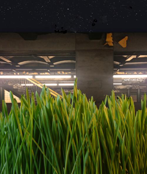 Meadows Underground 