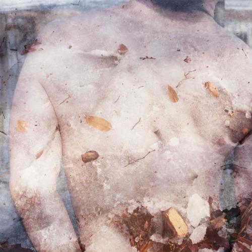 TRANSITORY  | Events Calendar