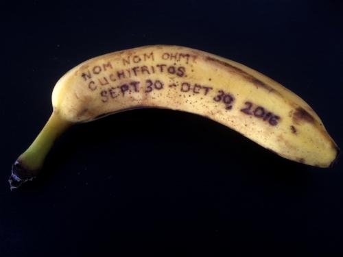 Jessica Segall 'Nom Nom Ohm: When Life Gives You Lemons, Make Chandeliers' | Events Calendar