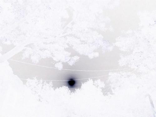 Daniel Menche, Container, MV Carbon, Eartheater, Greg Fox, Ben Vida, and Horse Lords Presented by ISSUE Project Room | Events Calendar