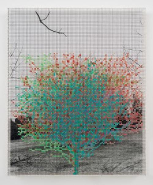 The Artist's Voice: Charles Gaines 