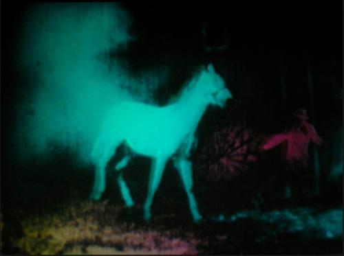 my eyes can't focus and my brain is talking: A Film Program in Two Parts 