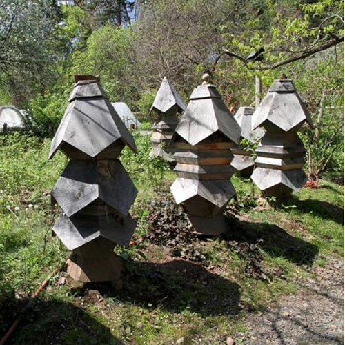 Sacred Geometry and the Architecture of Well-being 