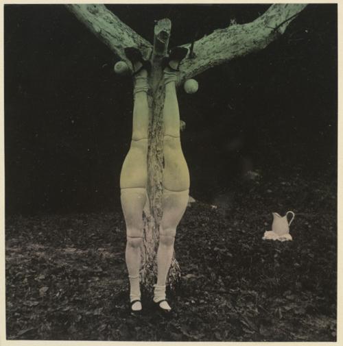 That Obscure Object of Desire 