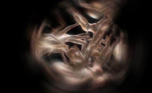 Sleuthing the Mind 