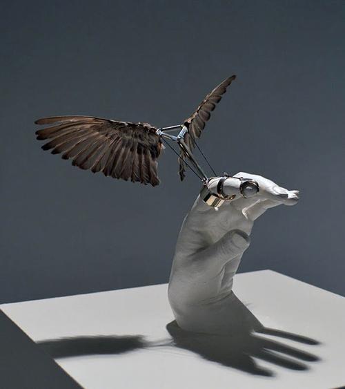 Peculiar Objects 