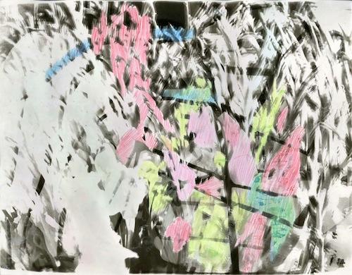 Susan Bee Photograms and Altered Photos from the 1970s | Events Calendar