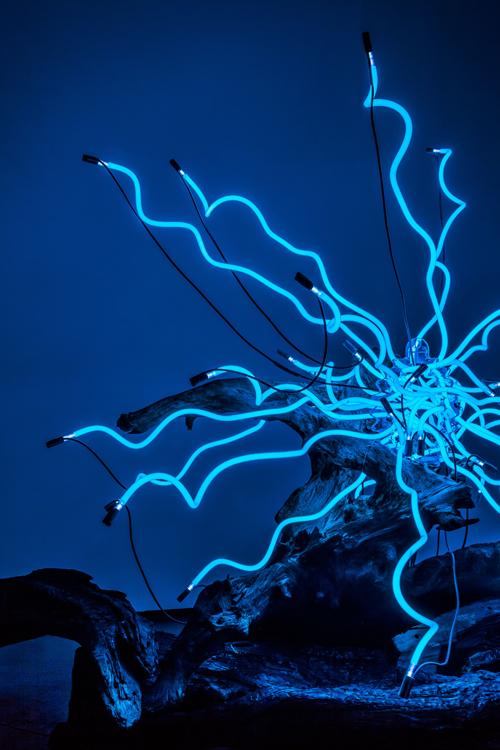 Dale Chihuly Chihuly | Events Calendar