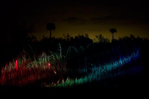 Enchanted Space  | Events Calendar