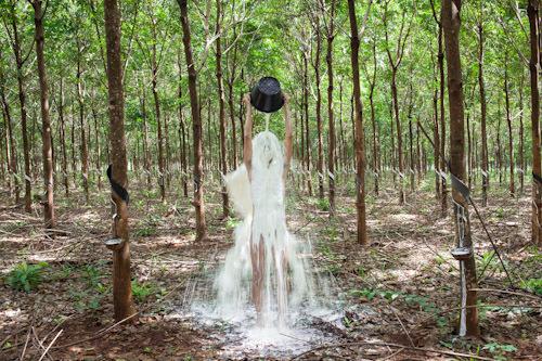 Future Nature  | Events Calendar