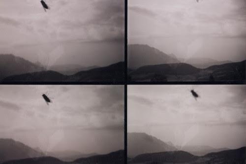 Martin Roth 'In July 2007 I drove a fly from Italy to Germany' | Events Calendar