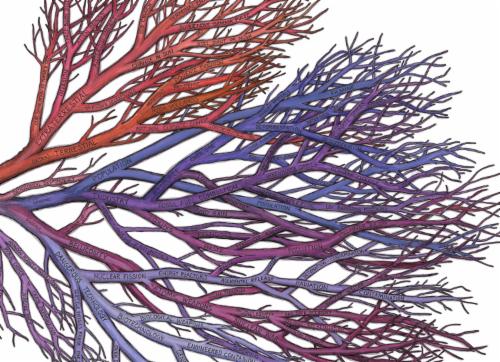 Felicific Calculus  | Events Calendar