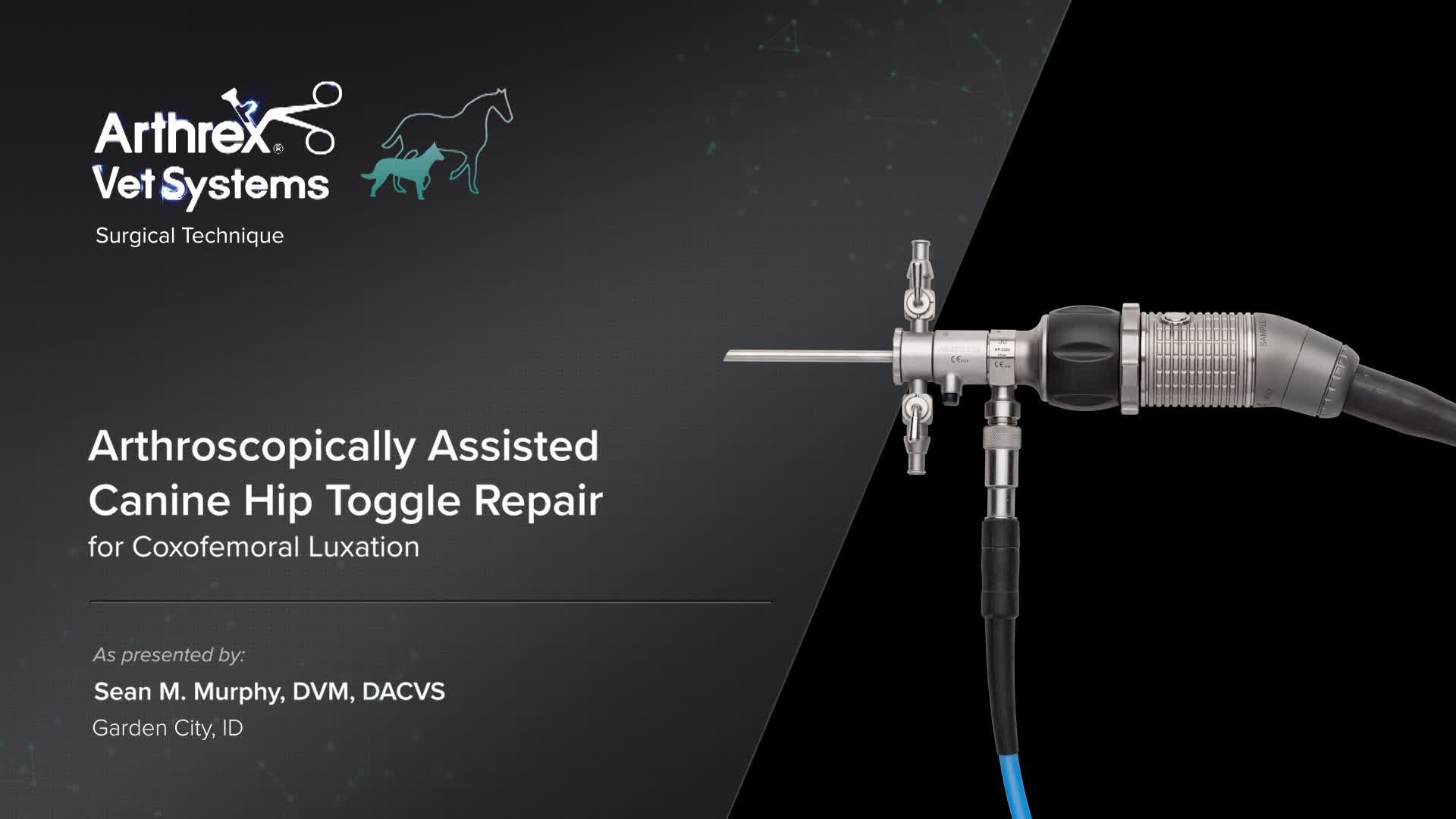 Arthrex Arthroscopically Assisted Canine Hip Toggle Repair