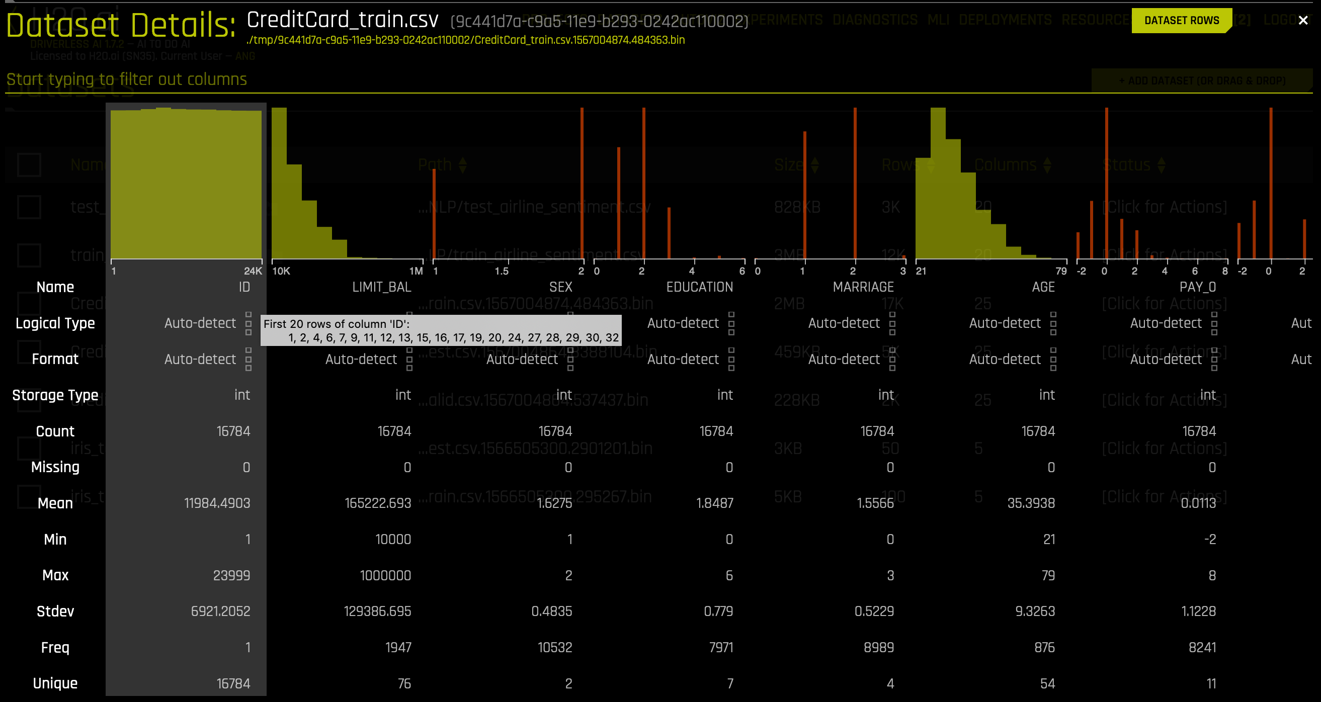 Hover text for Dataset Details