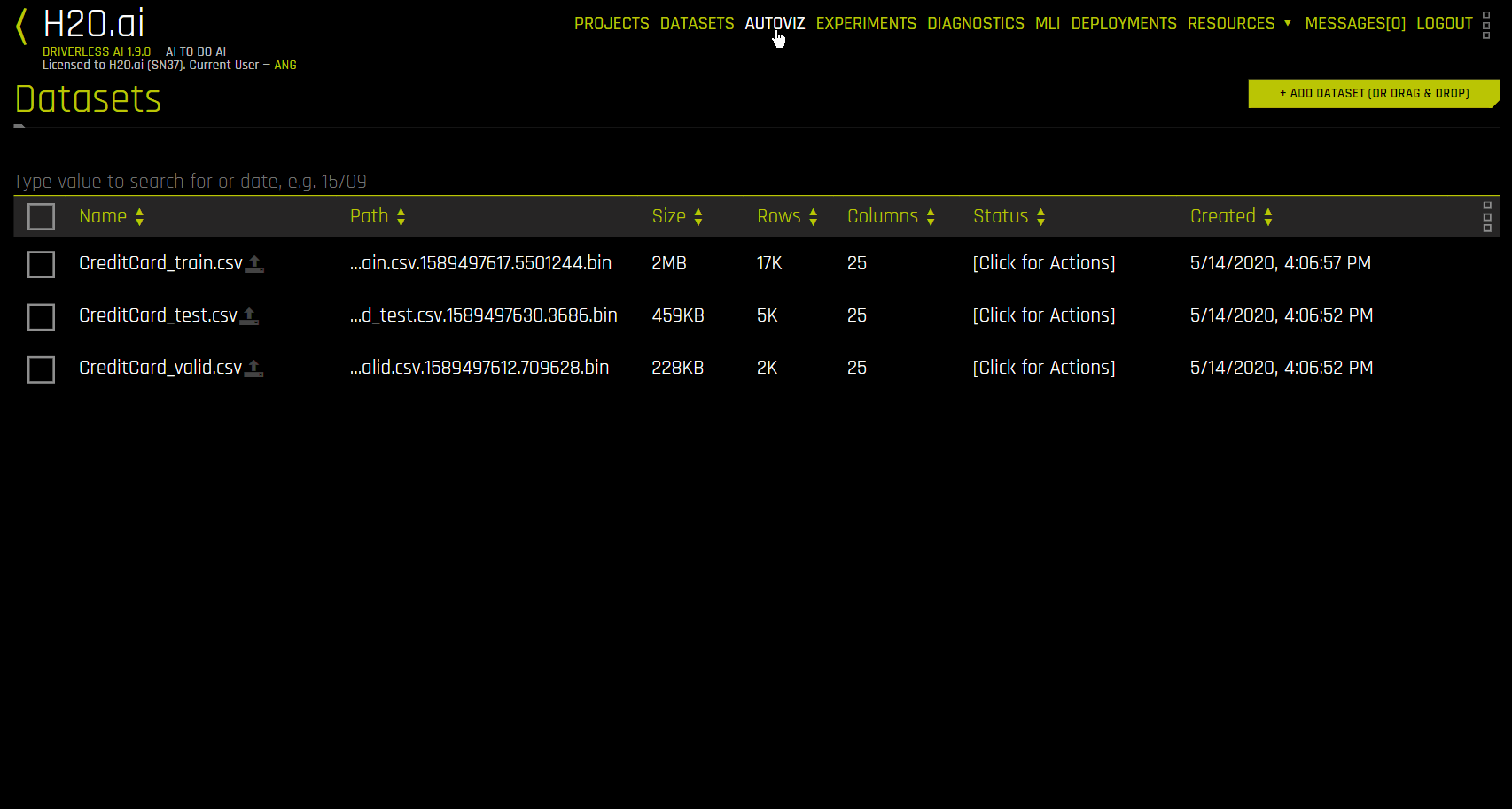 Viewing the Dataset Example