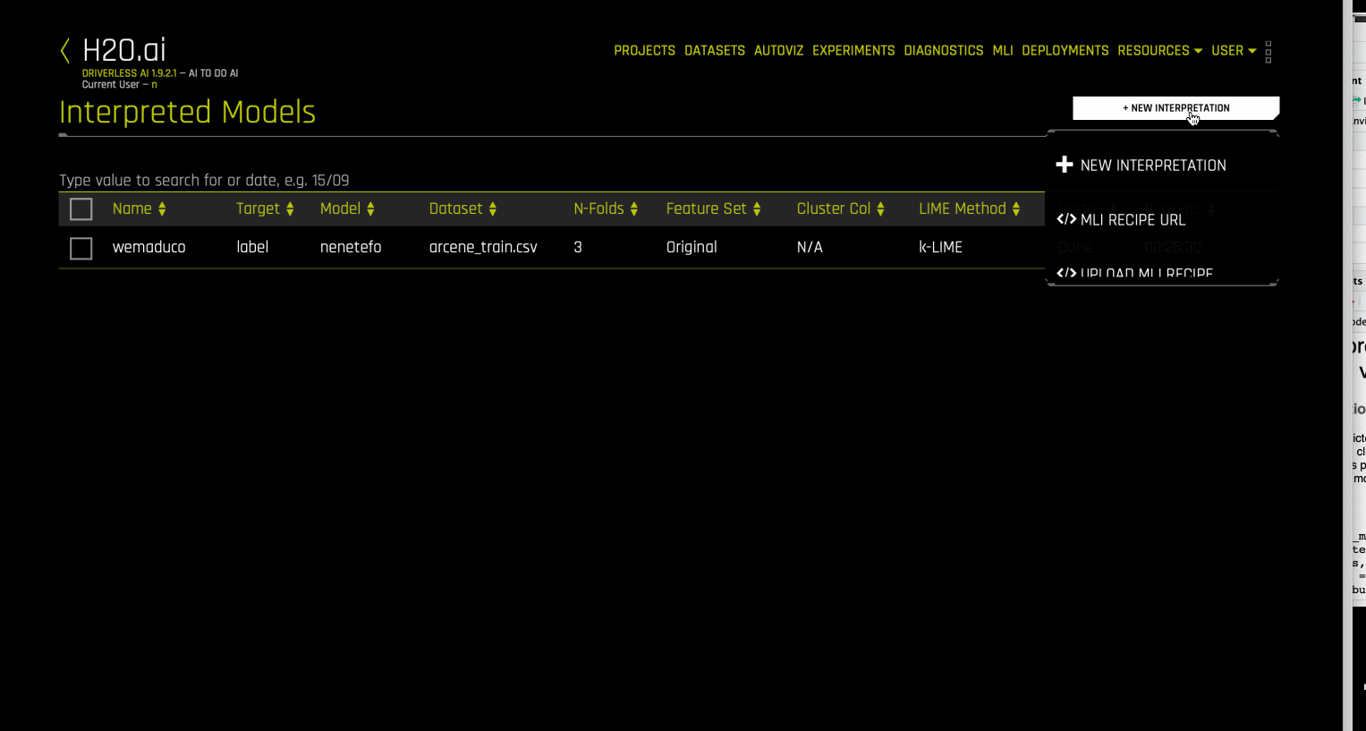 Interpretation Explainer Expert Settings