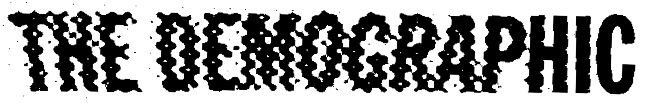 The Demographic Header Image