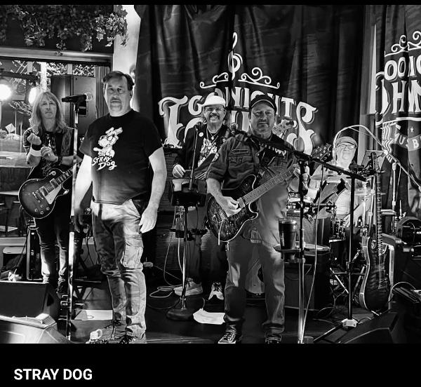 Stray Dog Band Photo