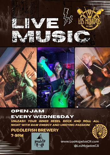 Los Mojados Host Open Jam Every Wednesday 