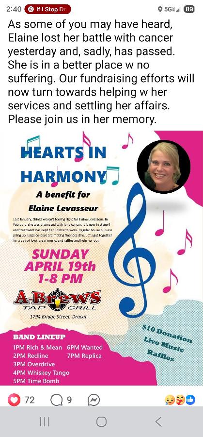 Harmony in the Hearts - Beneift for Elaine Levasseur