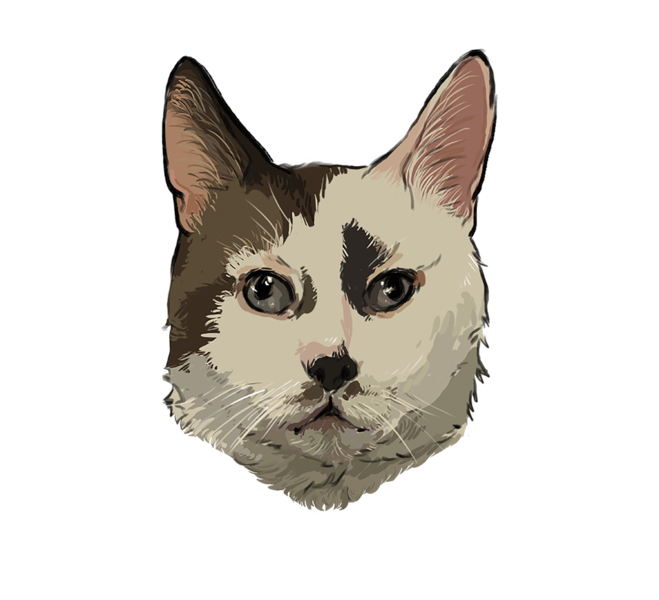 Digital Pet Portrait Artists&Clients