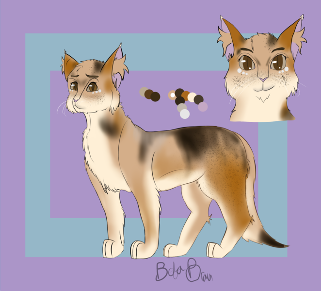 Download Custom Cat Design - Artists&Clients