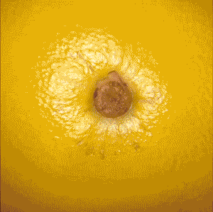 Veggie Animation, Anya Chen