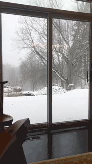 Cinemagraph, Alexia Towle