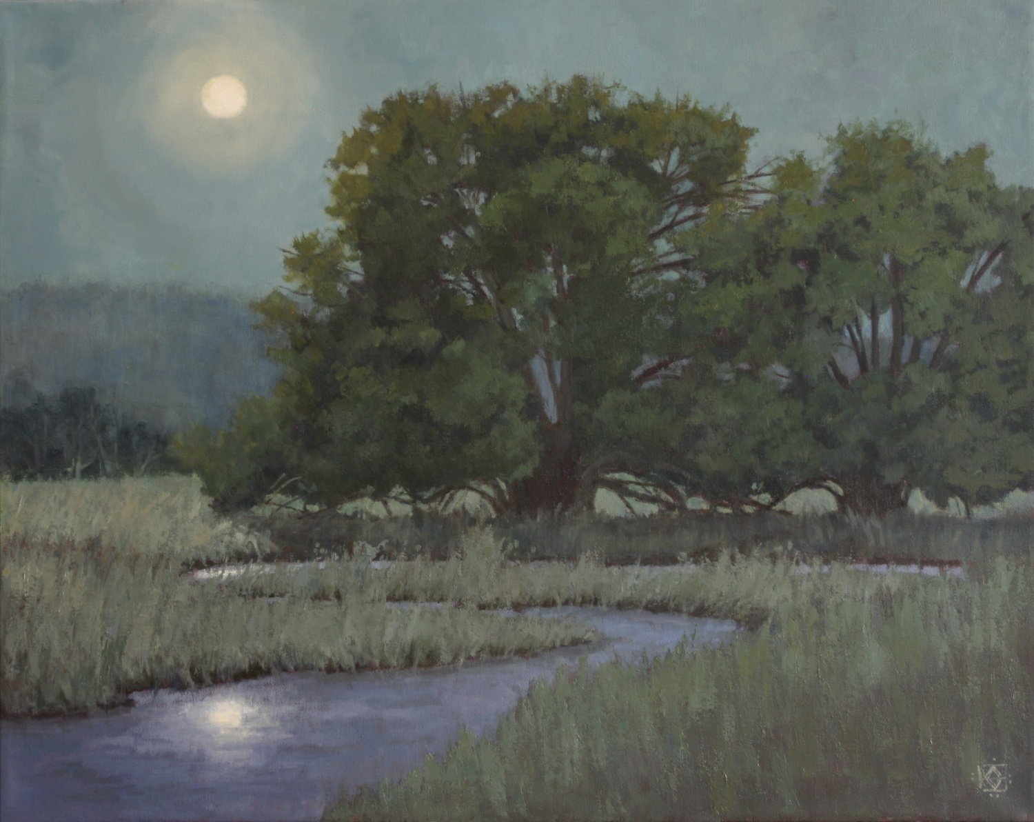 moonlit willows