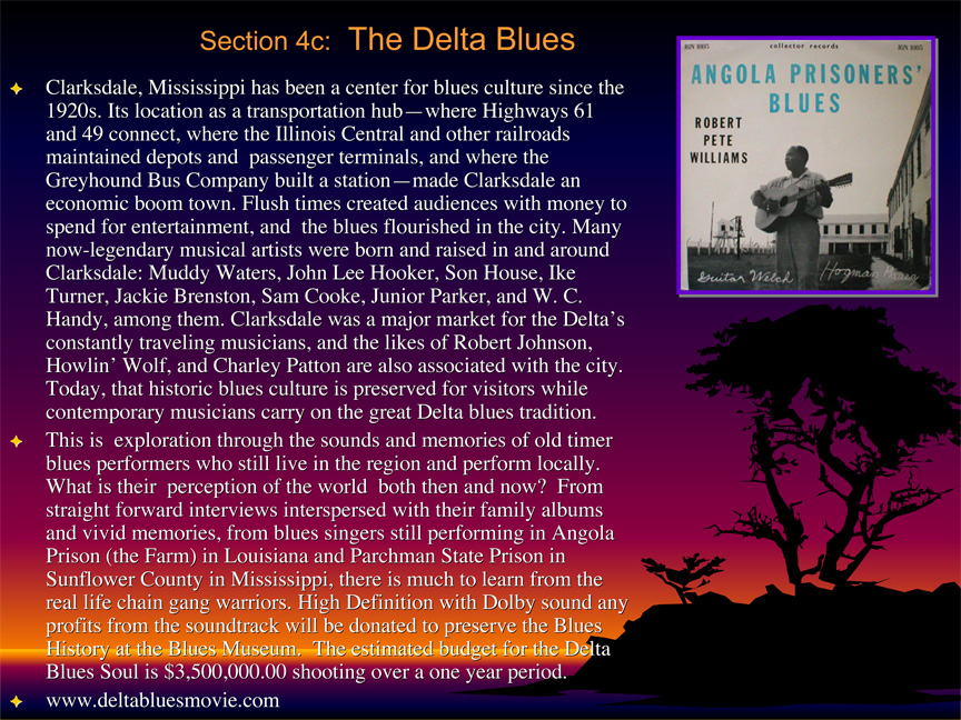 Delta Blues Soul