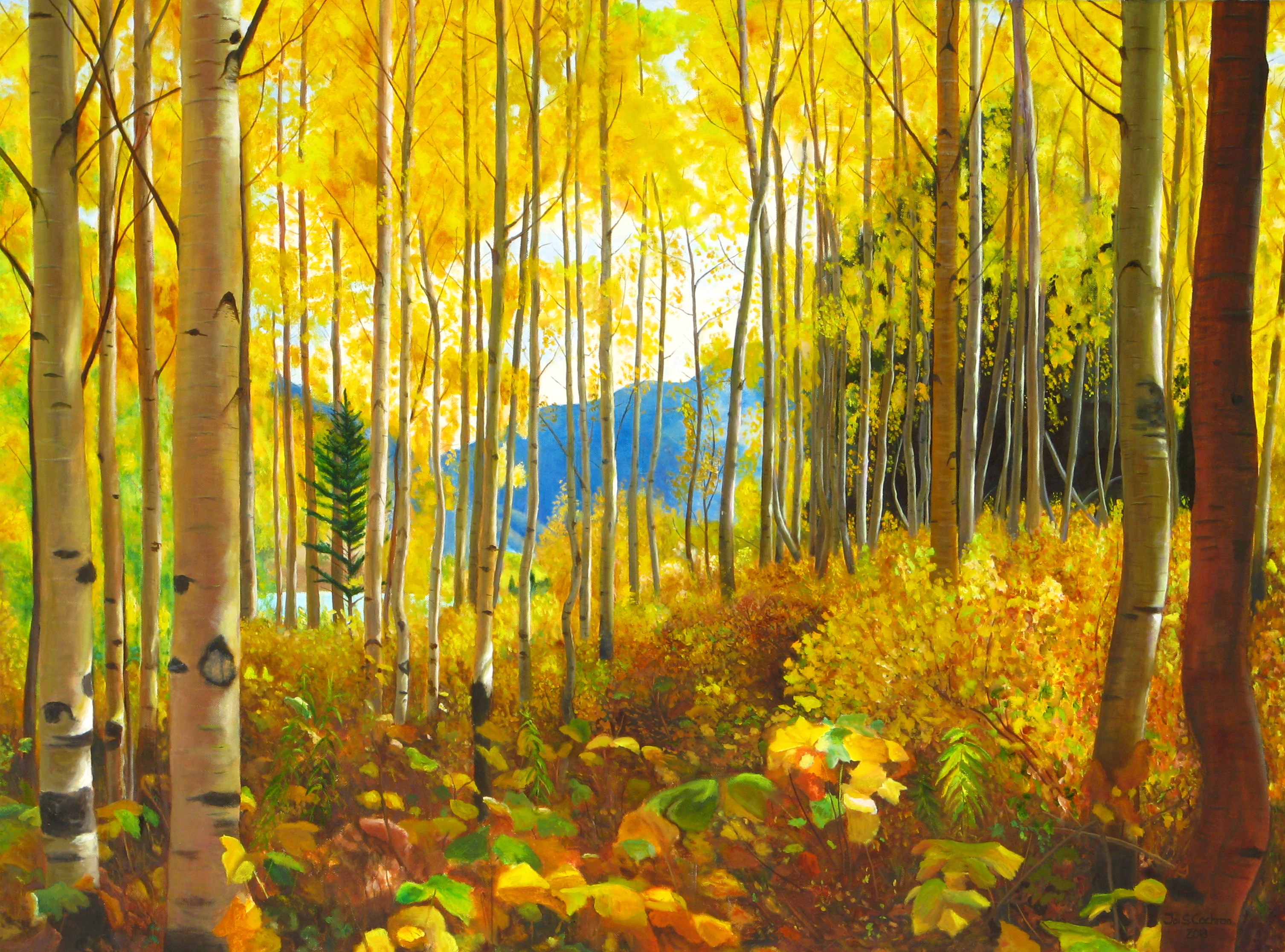 Inside_AspenWood.JPG
