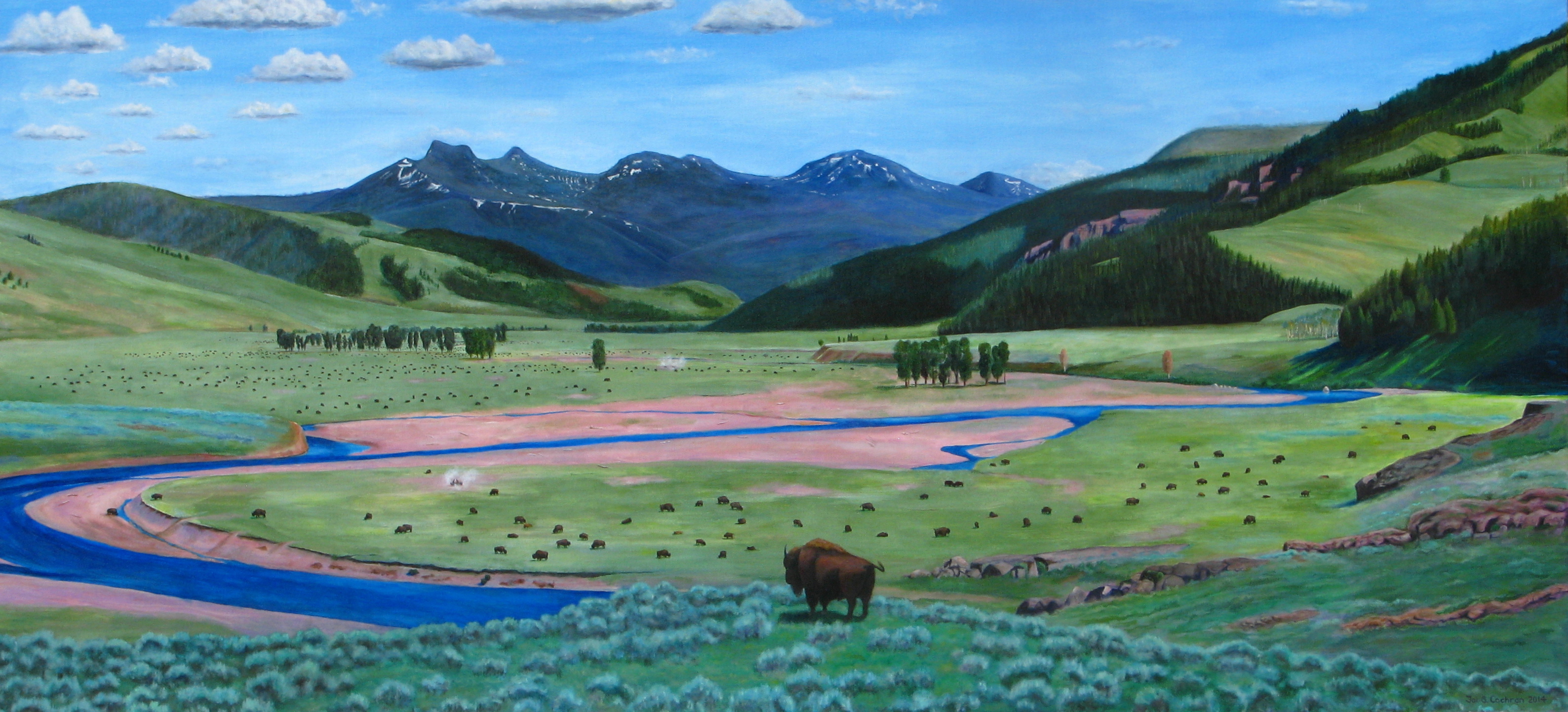 Return of the Buffalo